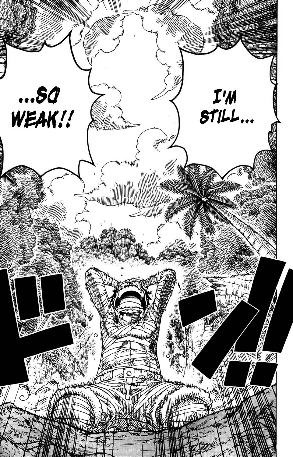 One Piece, Chapter 589 image 19